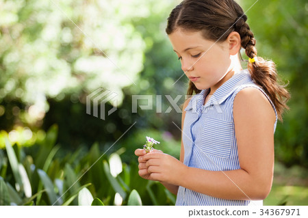 Girl holding flower standing at backyard Girl holding flower standing at backyard 34367971