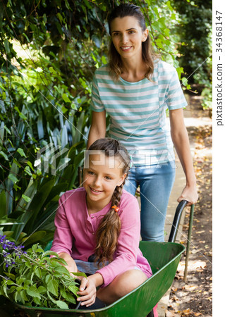 Happy mother pushing girl with flowers sitting in wheelbarrow Happy mother pushing girl with flowers sitting in wheelbarrow 34368147