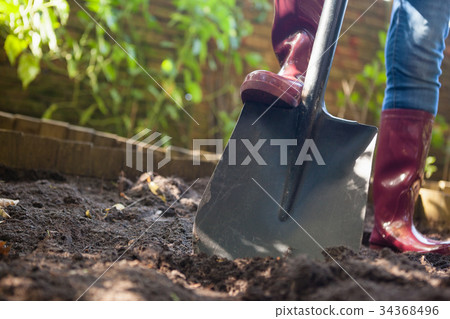 Surface level view of senior woman standing with shovel on dirt 34368496