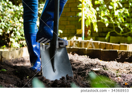 Person shoveling in the garden 34368933
