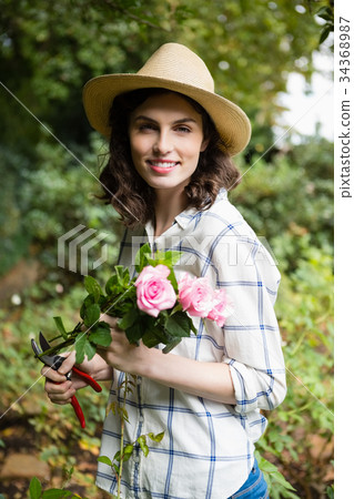 Woman trimming flowers with pruning shears in garden on a sunny day Woman trimming flowers with pruning shears in garden on a sunny day 34368987