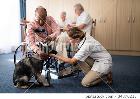 Female doctor kneeling by disabled senior man stroking puppy Female doctor kneeling by disabled senior man stroking puppy 34370215