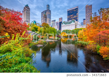 Central Park Autumn 34371663