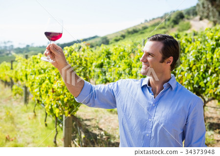 Smiling vintner holding glass of wine 34373948
