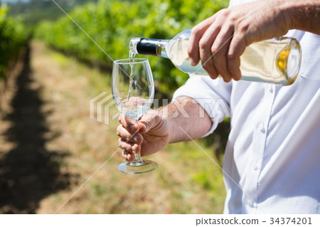 Mid section of vintner examining wine Mid section of vintner examining wine 34374201