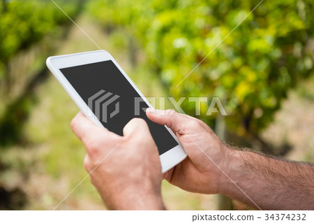 Close-up of vintner using digital tablet in vineyard 34374232