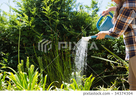 Woman watering plants with watering can in garden 34374304