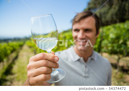Smiling vintner examining glass of wine Smiling vintner examining glass of wine 34374472