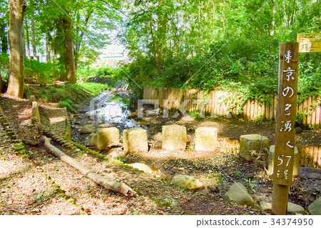 東京57個著名的泉水（黑龍川天神神社前） 34374950
