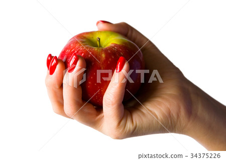 A female hand with red nails holds an apple. A female hand with red nails holds an apple. 34375226