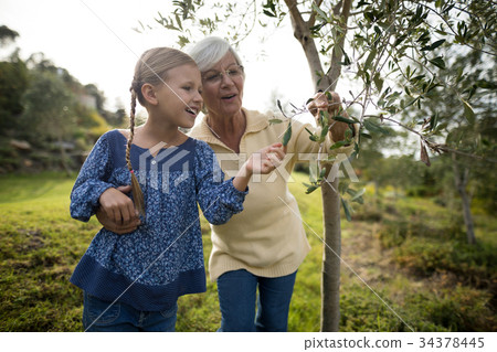 Granddaughter and grandmother touching tree in garden 34378445