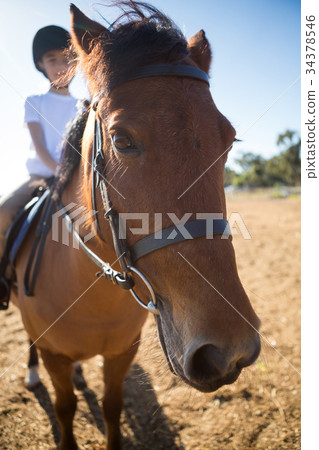 Girl riding a horse in the ranch 34378546