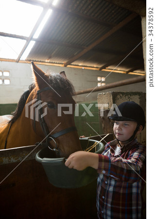 Girl feeding the horse in the stable 34378592