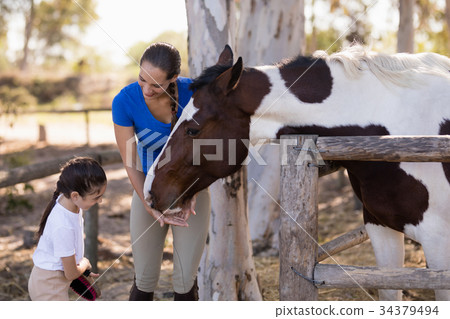 Woman assisting sister for cleaning horse Woman assisting sister for cleaning horse 34379494