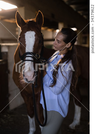 Female vet examining brown horse Female vet examining brown horse 34379622
