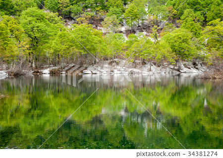 長野縣河內市小谷村的雪和新鮮綠色 34381274