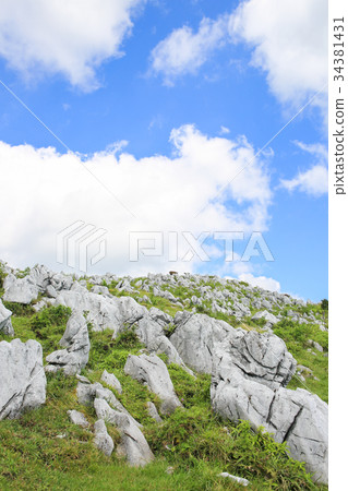 四國喀斯特五步高原的風景 34381431