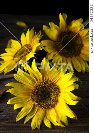 yellow sunflowers with seeds yellow sunflowers with seeds 34382328