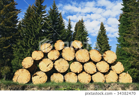 Pile of felled wood lying on the ground 34382470