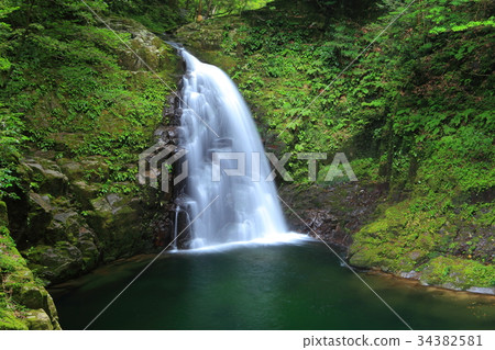 Red-eye Shiratakiraki Fudo Falls Red-eye Shiratakiraki Fudo Falls 34382581