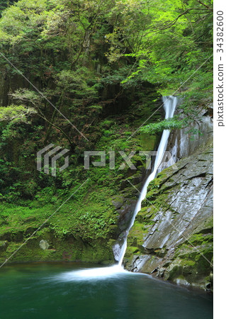 Red Eye Shimpaki Waterfall Cloth Falls 34382600