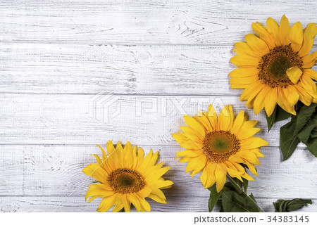 frame with sunflowers 34383145