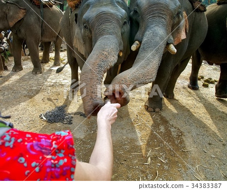 Rural lifestyle in Thailand 34383387