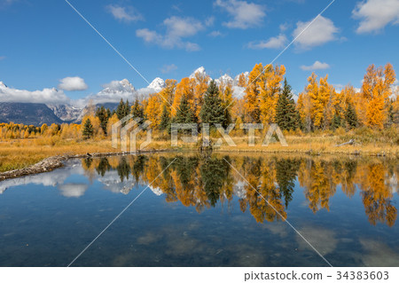 Teton Fall Reflection Teton Fall Reflection 34383603