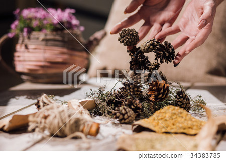 Pine cones. Health extract preparation process Pine cones. Health extract preparation process 34383785