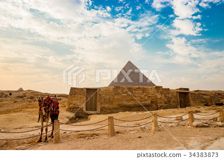 Camel near ruins of pyramid in Cairo, Egypt 34383873