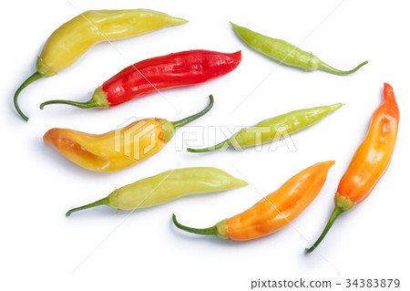 Aji Cristal C. baccatum chile, paths, top view Aji Cristal C. baccatum chile, paths, top view 34383879