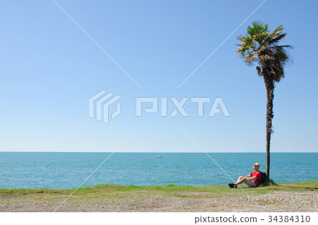 Man with backpack sits under a tall palm tree Man with backpack sits under a tall palm tree 34384310