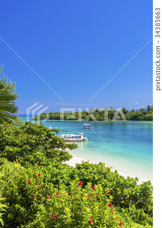 Kabira海灣珊瑚礁海在石垣島的 34385663