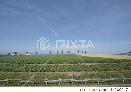 北海道山坡女人的童話故事 34386947