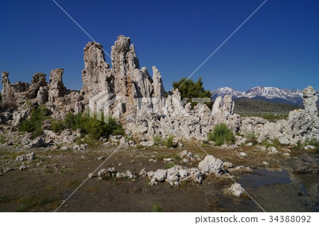 Lime Lake in Mono Lake, USA 34388092