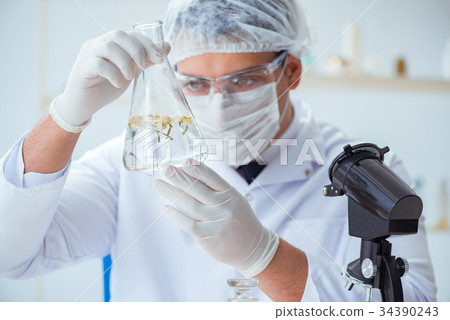 Chemist mixing perfumes in the lab 34390243