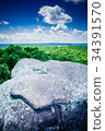 A view of the Shawnee National Forest 34391570