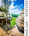 A view of the Shawnee National Forest 34391583