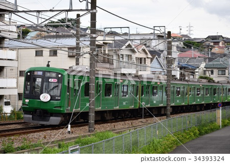 Tokyu Toyoko Line Blue Frog 34393324