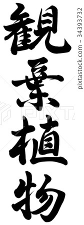 Foliage plant Foliage plant 34393732