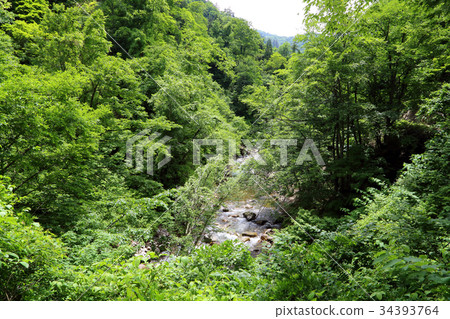 Mountain stream Mountain stream 34393764