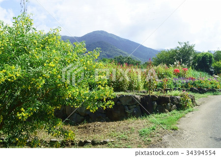 Hana Senna and Fukuchisan Hana Senna and Fukuchisan 34394554