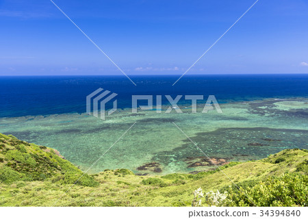 Hirakubosaki珊瑚礁海在石垣島的 34394840