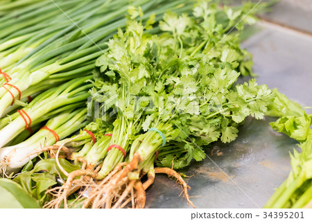 Fresh Spring onion and coriander. Fresh Spring onion and coriander. 34395201