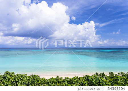 Hateruma島珊瑚礁美麗的西濱 34395204