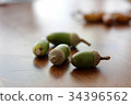 Acorn fruit 34396562