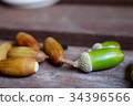 Acorn fruit 34396566