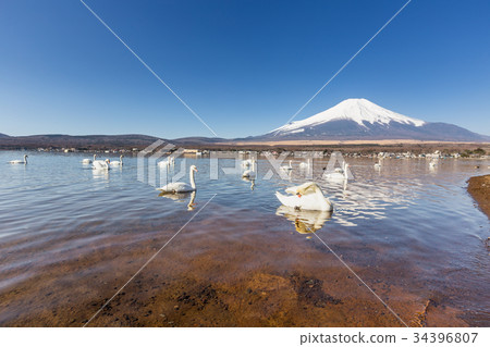 Mountain Fuji from lake yamanakako clear sky day Mountain Fuji from lake yamanakako clear sky day 34396807