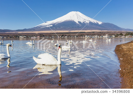 Mountain Fuji from lake yamanakako clear sky day Mountain Fuji from lake yamanakako clear sky day 34396808
