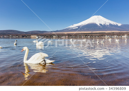 Mountain Fuji from lake yamanakako clear sky day 34396809